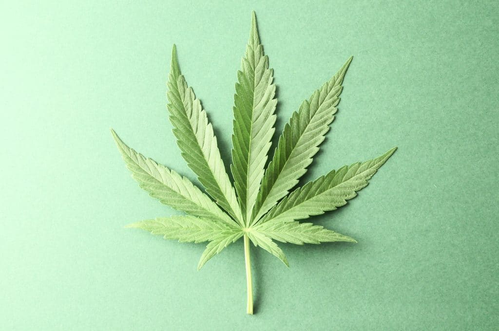 Green pot leaf